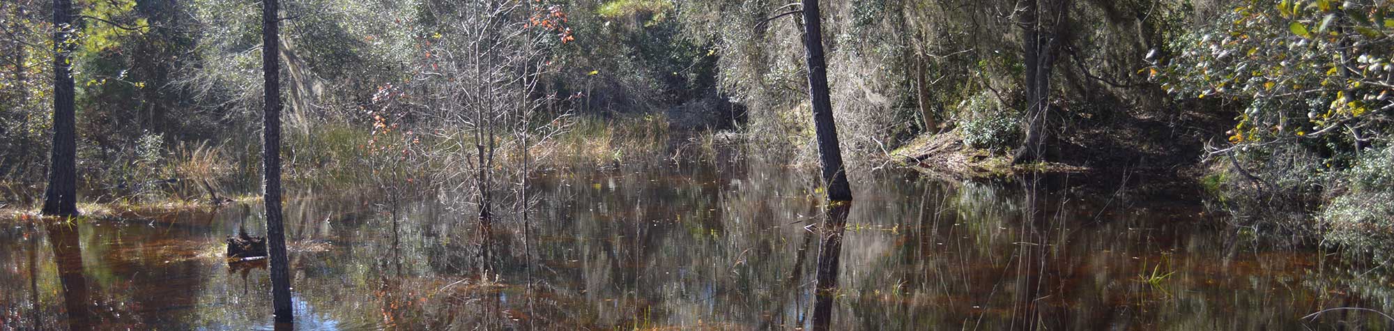 – Gabrielle Marino